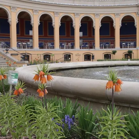 Junior Czysta Apartament