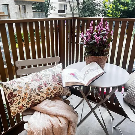 Junior Czysta * Wrocław