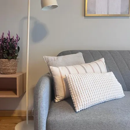 Apartament Junior Czysta