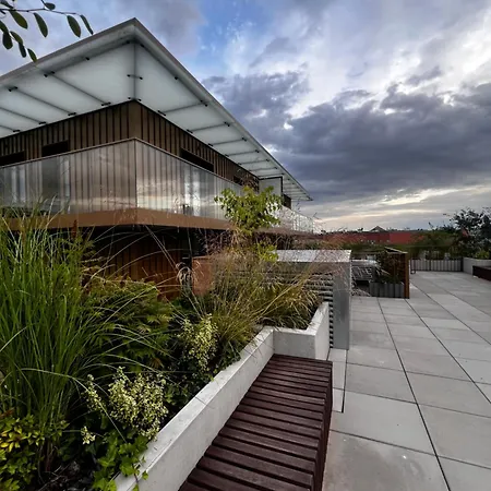 Apartament Junior Czysta *