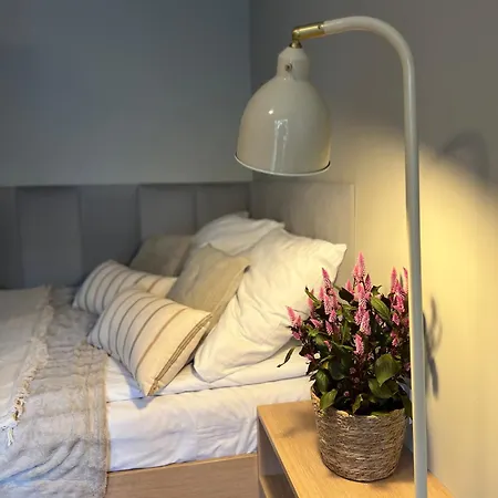 Junior Czysta * Wrocław