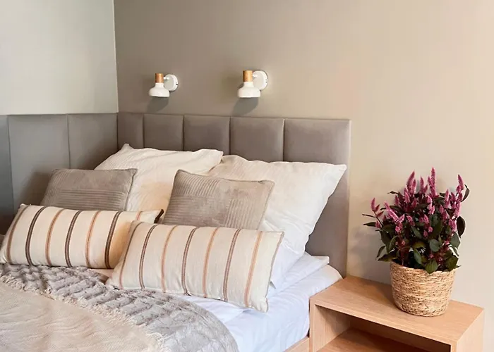 Junior Czysta Vratislav