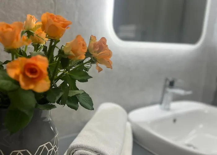 Junior Czysta Vratislav