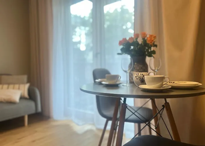 Apartmán Junior Czysta Vratislav