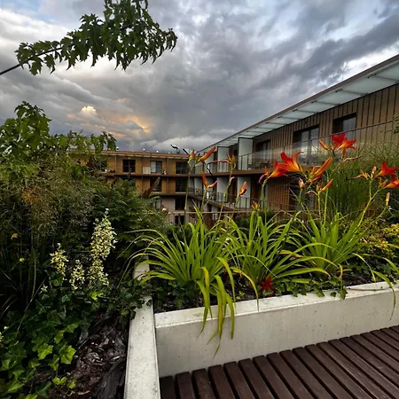 Junior Czysta Vratislav