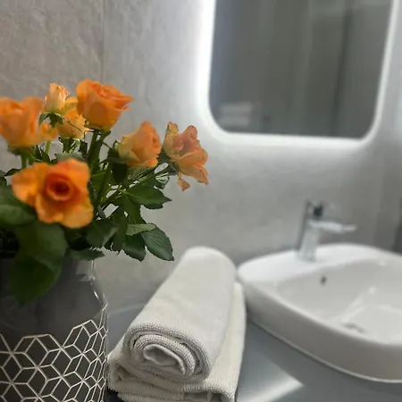 Junior Czysta Vratislav