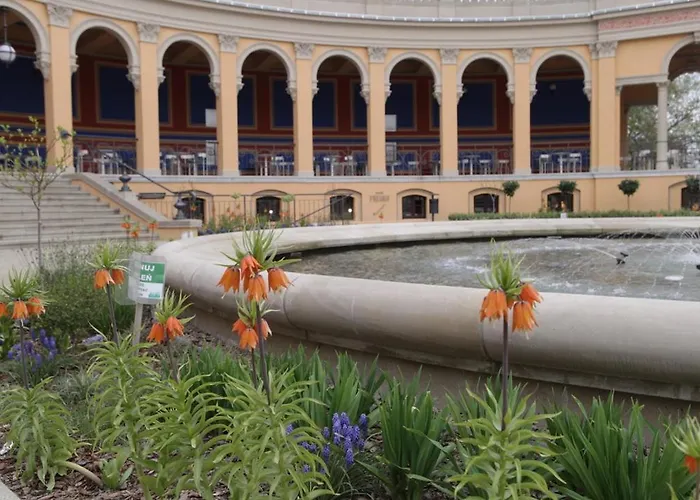 Junior Czysta Apartment