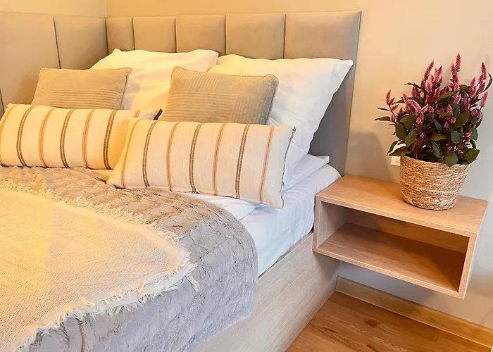 Junior Czysta Wroclaw