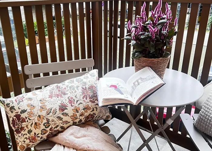 Junior Czysta * Wroclaw