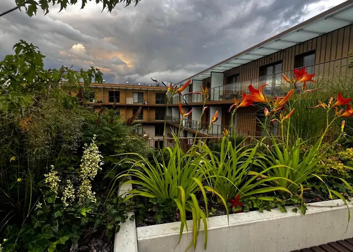 Junior Czysta Wroclaw