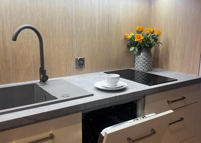 Apartment Junior Czysta