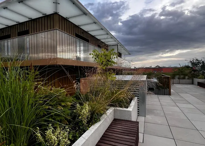 Apartment Junior Czysta *