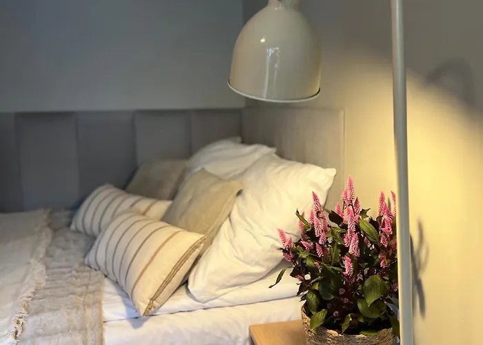 Junior Czysta * Wroclaw