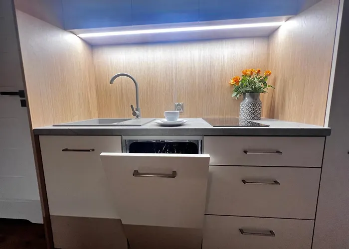 Apartment Junior Czysta *